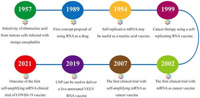 Amplifying mRNA vaccines: potential versatile magicians for oncotherapy